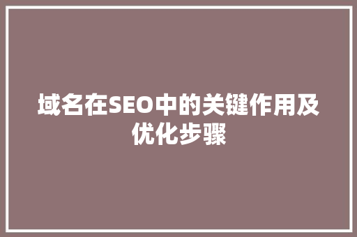 域名在SEO中的关键作用及优化步骤