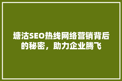 塘沽SEO热线网络营销背后的秘密，助力企业腾飞