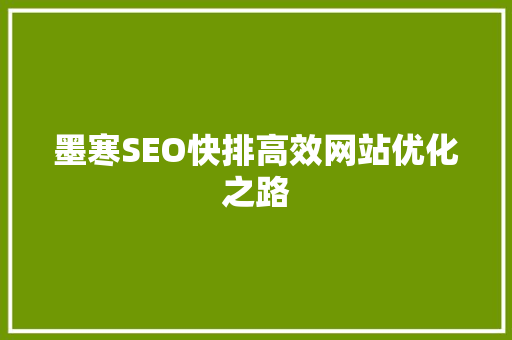 墨寒SEO快排高效网站优化之路