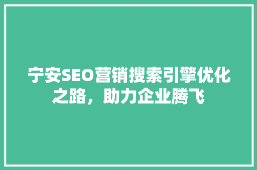 宁安SEO营销搜索引擎优化之路，助力企业腾飞