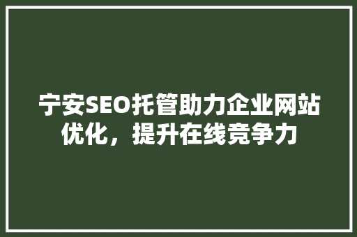 宁安SEO托管助力企业网站优化，提升在线竞争力