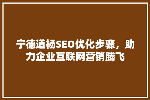 宁德道杨SEO优化步骤，助力企业互联网营销腾飞