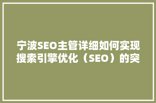 宁波SEO主管详细如何实现搜索引擎优化（SEO）的突破与转型