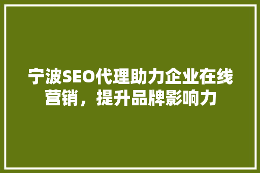 宁波SEO代理助力企业在线营销，提升品牌影响力