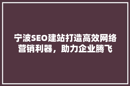 宁波SEO建站打造高效网络营销利器，助力企业腾飞