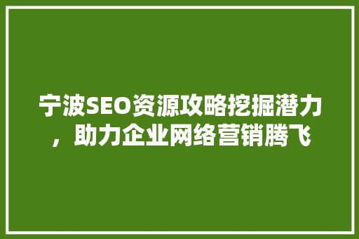 宁波SEO资源攻略挖掘潜力，助力企业网络营销腾飞