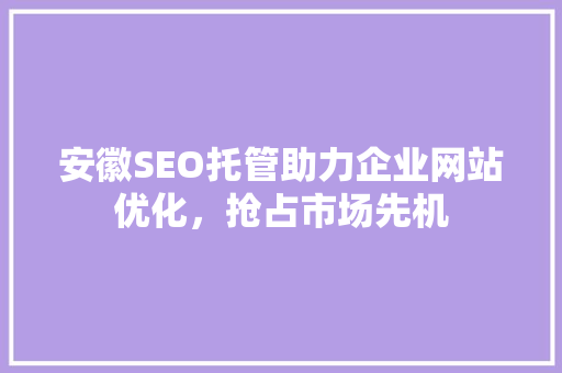 安徽SEO托管助力企业网站优化，抢占市场先机