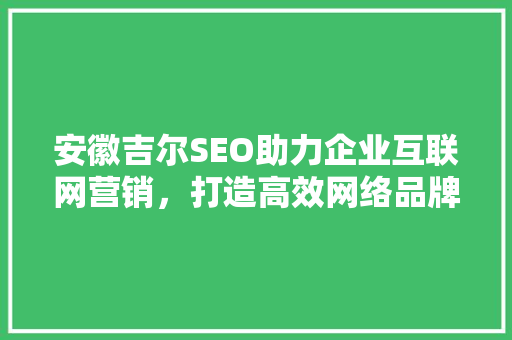 安徽吉尔SEO助力企业互联网营销，打造高效网络品牌形象