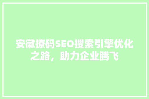 安徽撩码SEO搜索引擎优化之路，助力企业腾飞