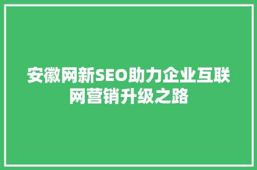 安徽网新SEO助力企业互联网营销升级之路