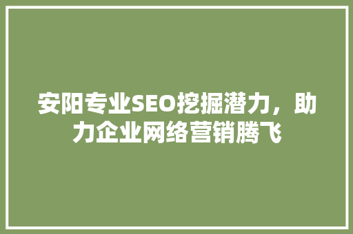 安阳专业SEO挖掘潜力，助力企业网络营销腾飞