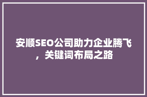 安顺SEO公司助力企业腾飞，关键词布局之路