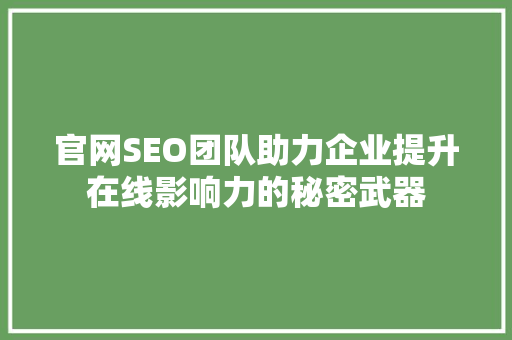 官网SEO团队助力企业提升在线影响力的秘密武器