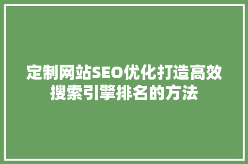 定制网站SEO优化打造高效搜索引擎排名的方法