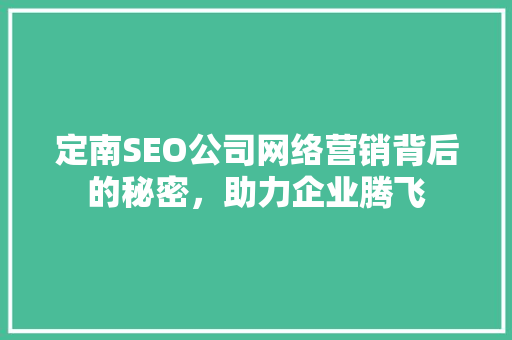 定南SEO公司网络营销背后的秘密，助力企业腾飞