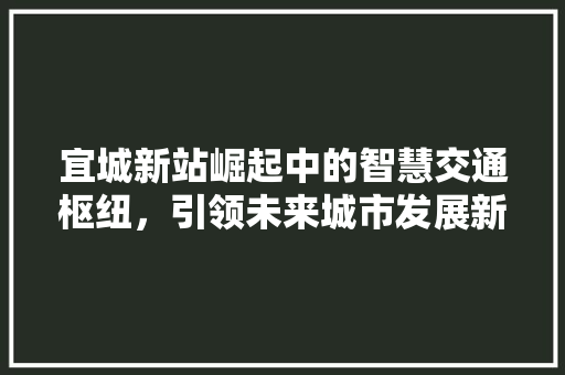 宜城新站崛起中的智慧交通枢纽，引领未来城市发展新潮流