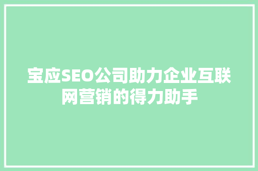 宝应SEO公司助力企业互联网营销的得力助手