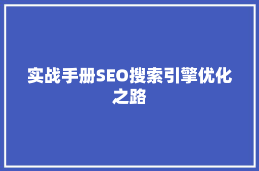 实战手册SEO搜索引擎优化之路