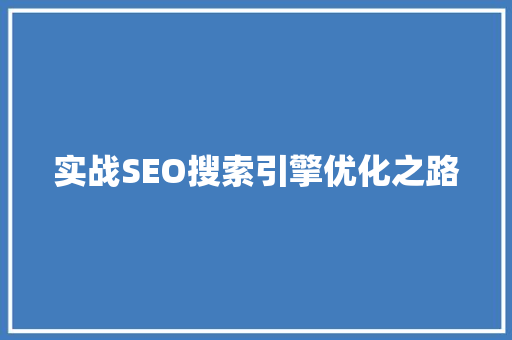 实战SEO搜索引擎优化之路