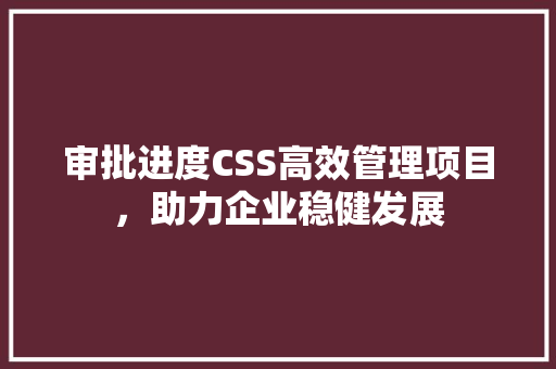 审批进度CSS高效管理项目，助力企业稳健发展