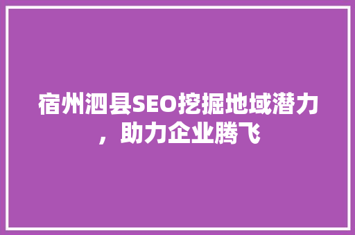 宿州泗县SEO挖掘地域潜力，助力企业腾飞