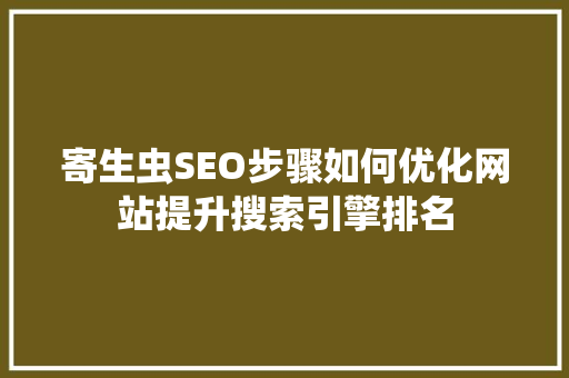 寄生虫SEO步骤如何优化网站提升搜索引擎排名