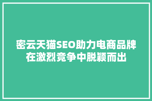 密云天猫SEO助力电商品牌在激烈竞争中脱颖而出