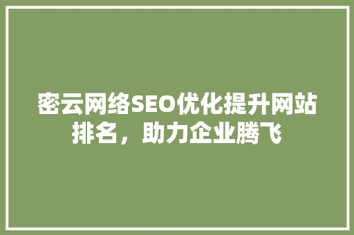 密云网络SEO优化提升网站排名，助力企业腾飞