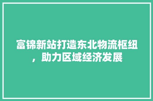 富锦新站打造东北物流枢纽，助力区域经济发展