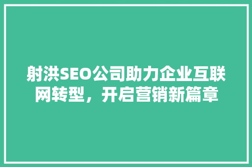 射洪SEO公司助力企业互联网转型，开启营销新篇章