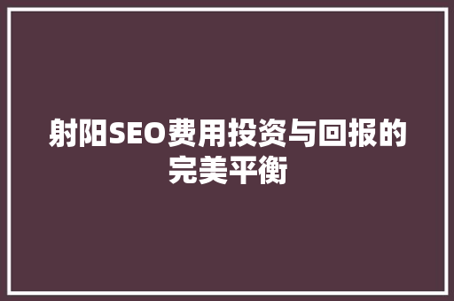 射阳SEO费用投资与回报的完美平衡