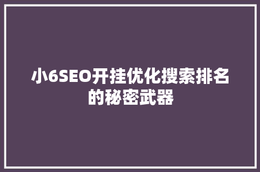 小6SEO开挂优化搜索排名的秘密武器