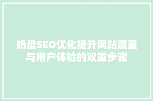 奶盘SEO优化提升网站流量与用户体验的双重步骤