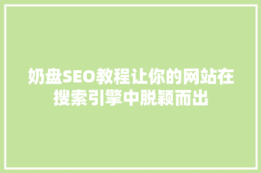 奶盘SEO教程让你的网站在搜索引擎中脱颖而出