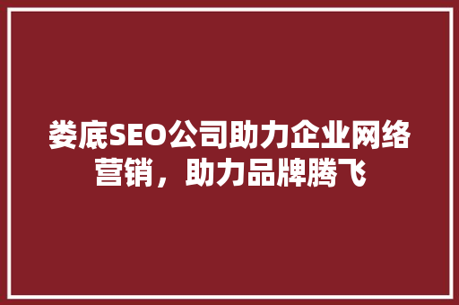 娄底SEO公司助力企业网络营销，助力品牌腾飞