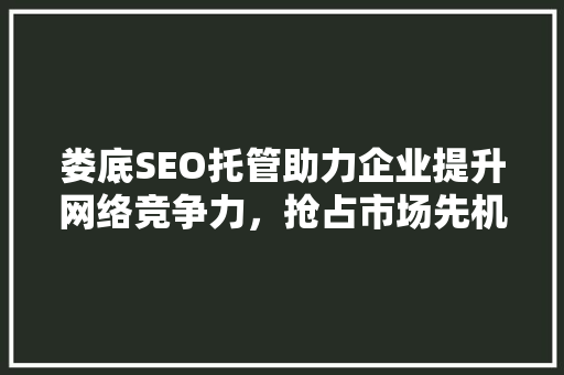 娄底SEO托管助力企业提升网络竞争力，抢占市场先机