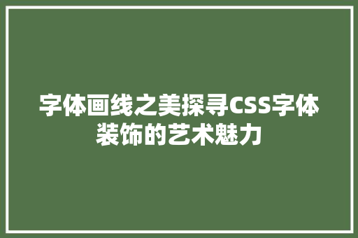 字体画线之美探寻CSS字体装饰的艺术魅力