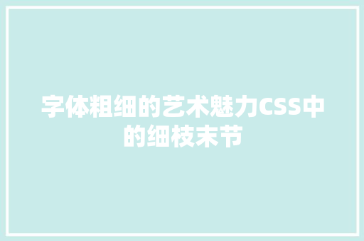 字体粗细的艺术魅力CSS中的细枝末节