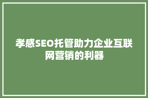 孝感SEO托管助力企业互联网营销的利器