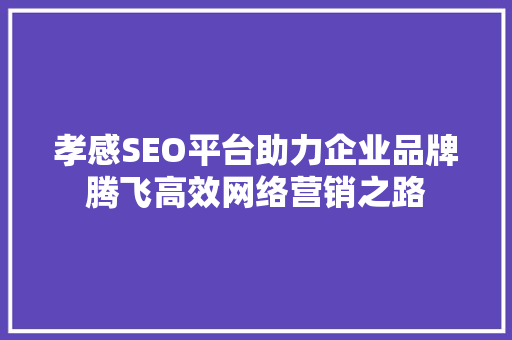 孝感SEO平台助力企业品牌腾飞高效网络营销之路