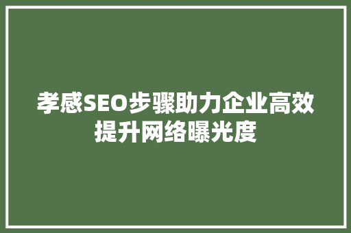 孝感SEO步骤助力企业高效提升网络曝光度