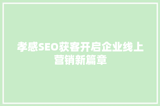 孝感SEO获客开启企业线上营销新篇章