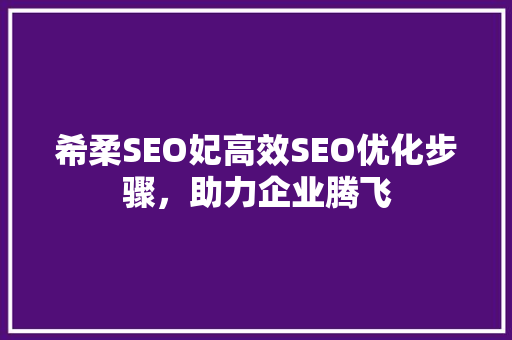 希柔SEO妃高效SEO优化步骤，助力企业腾飞