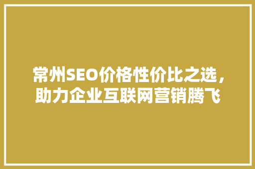 常州SEO价格性价比之选，助力企业互联网营销腾飞