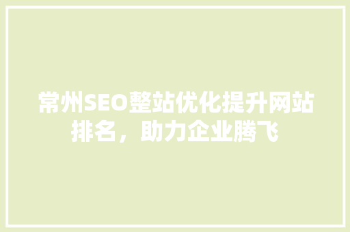 常州SEO整站优化提升网站排名，助力企业腾飞