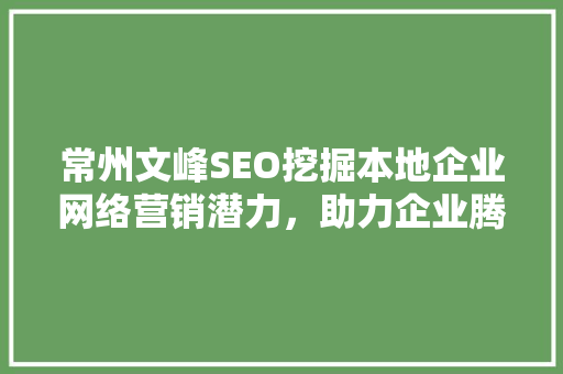 常州文峰SEO挖掘本地企业网络营销潜力，助力企业腾飞