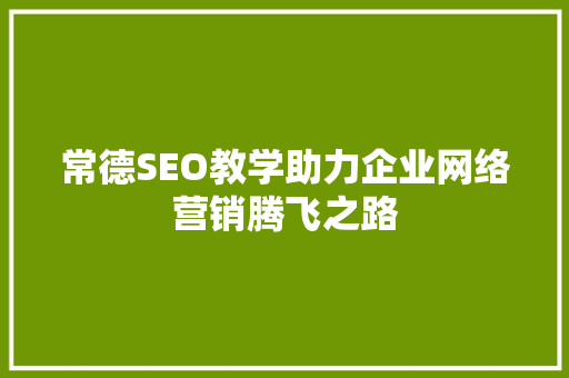 常德SEO教学助力企业网络营销腾飞之路