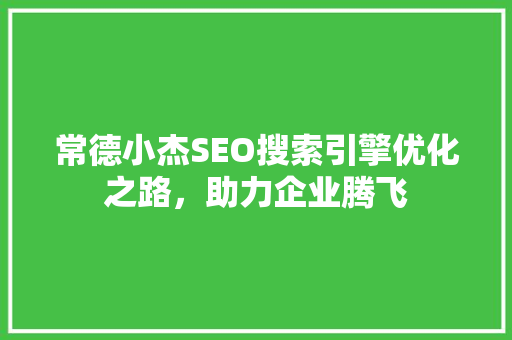 常德小杰SEO搜索引擎优化之路，助力企业腾飞