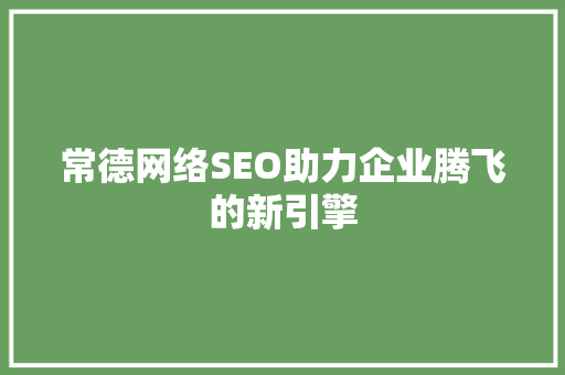 常德网络SEO助力企业腾飞的新引擎