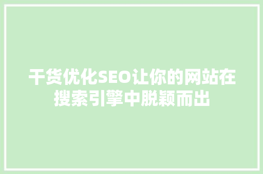 干货优化SEO让你的网站在搜索引擎中脱颖而出